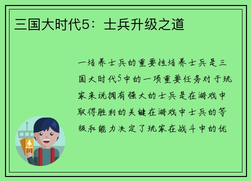 三国大时代5：士兵升级之道